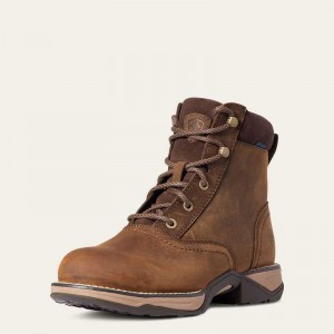 Ariat Anthem Round Toe Lacer Waterproof Boot Brown | 870FAPLKU