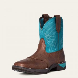 Ariat Anthem Shortie Western Boot Dark_cottage | 382MPTOQU