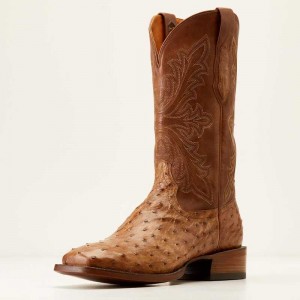 Ariat Bench Made Bassett Western Boot Buckskin Full Quill Ostrich | 204XJTZRH