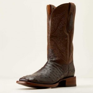 Ariat Bench Made Bassett Western Boot Espresso Full Quill Ostrich | 304ZXYVQE