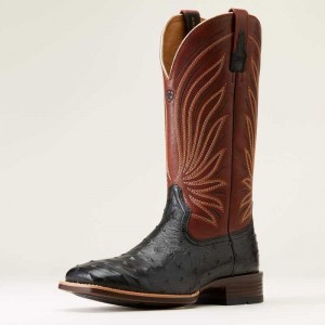 Ariat Brandin' Ultra Western Boot Black | 835FVJWOU