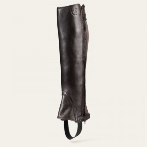 Ariat Breeze Chap Half Chap Chocolate | 198EGHPZL