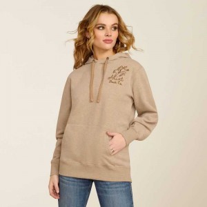 Ariat Bronco Stitch Hoodie Dark Beige | 013ORJCZG