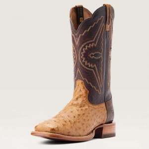 Ariat Broncy Western Boot Antique Saddle Fq Ostrich | 718FVJZLO