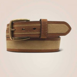 Ariat Canvas center belt Brown | 129MCSRPX