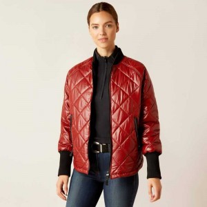 Ariat Charlie Insulated Jacket Dark Red | 091NDTCBQ