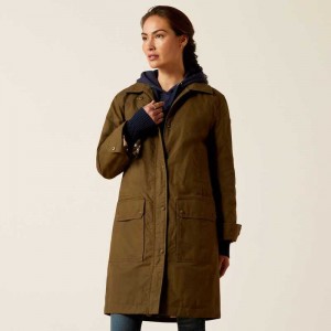 Ariat Cloverfield Coat Earth | 983QGZAUI