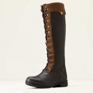 Ariat Coniston Max Waterproof Insulated Boot Brown | 164WANTSH