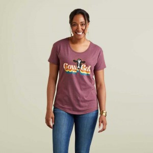 Ariat Cow Gal T-Shirt Burgundy | 396HLVQPF