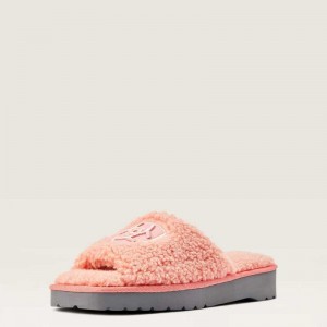 Ariat Cozy Chic Square Toe Slipper Pink | 962YCIGXD