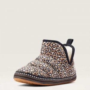 Ariat Crius Bootie Slipper Brown Leopard | 354IQGCXS