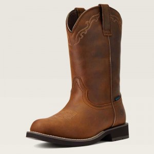 Ariat Delilah Round Toe Waterproof Western Boot Brown | 879AUOEMQ