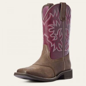 Ariat Delilah Western Boot Java | 210ISOXBW