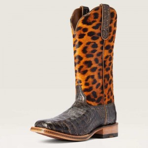 Ariat Donatella Western Boot Chocolate | 643ZAURME