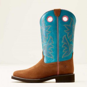 Ariat Elko Western Boot Brown / Blue | 674PGCYVR