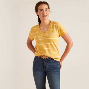 Ariat Fairford T-Shirt Stripes | 193DRMXNH