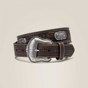 Ariat Filigree Concho Belt Brown | 234VHACYB