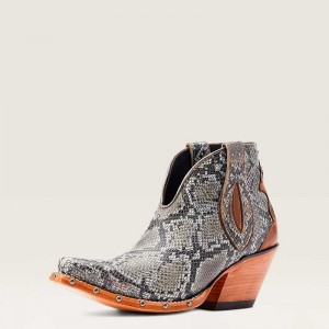 Ariat Greeley Western Boot Beige Snake | 409BOVCMY