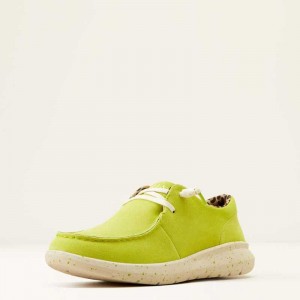 Ariat Hilo Light Green | 160LHUYBP