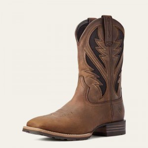 Ariat Hybrid VentTEK Western Boot Brown | 206BRFGMO