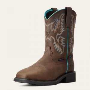 Ariat Krista Waterproof Steel Toe Work Boot Dark Brown | 192MRBDCG