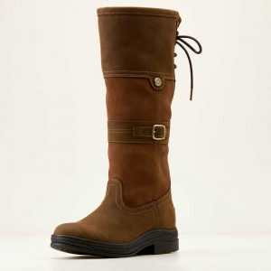 Ariat Langdale Waterproof Boot Java | 238FVJOSG