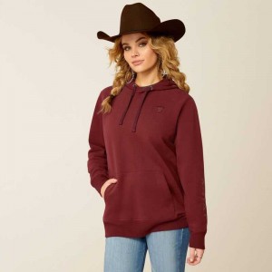 Ariat Logo 2.0 Hoodie Brown | 361GZDVSA