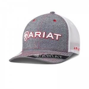 Ariat Logo Mesh Snapback Grey | 359OSEYCH