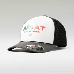 Ariat Mexico Cap Grey | 786BGDNWV