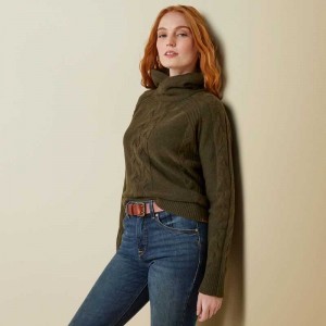 Ariat Novato Sweater Earth | 594SGTKEW