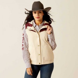 Ariat Pioneer StretchShell Vest Brown | 036BHRGAQ