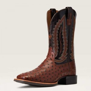 Ariat Quantum Primo Western Boot Antique Tabac Fq Ostrich | 017BMPQOS