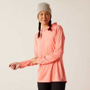 Ariat Rebar Sunblocker Hooded T-Shirt Pink | 346JWKZUL