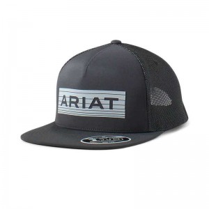 Ariat Reflective Logo Cap Black | 236UOQJKL