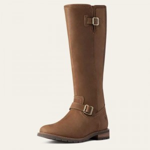 Ariat Sadie Waterproof Boot Dark Earth | 105TNDCBP