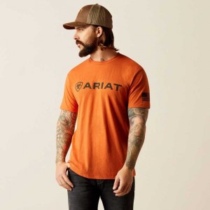 Ariat Shield Flag T-Shirt Adobe Heather | 875PBLEWU