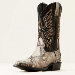 Ariat Slick Cowboy Boot Beige / Black | 896QVZSPN