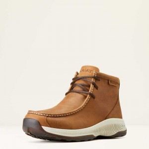 Ariat Spitfire All Terrain Brown | 293EWCDPB