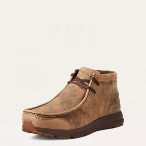 Ariat Spitfire Brown | 247VEQLDT