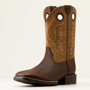 Ariat Sport Ranger Western Boot Brown / Brown | 427AJWLZN