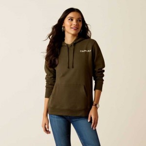 Ariat Stamp Hoodie Relic | 481ABHWRJ