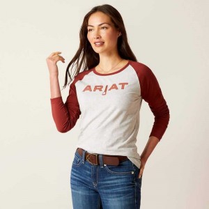 Ariat Stirrup Leather I T-Shirt Grey / Dark Red | 963PLQFXV