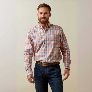 Ariat Team Damion Classic Fit Shirt Coral | 180MDGAHX