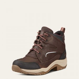 Ariat Telluride II H2O Brown | 185KSWVFP