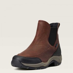 Ariat Terrain Blaze Waterproof Boot Dark Brown | 807AIXVCO