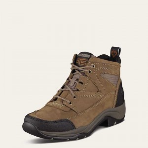 Ariat Terrain Boot Grey Brown | 675KMGIDN