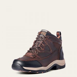 Ariat Terrain Brown | 560UHIVCO