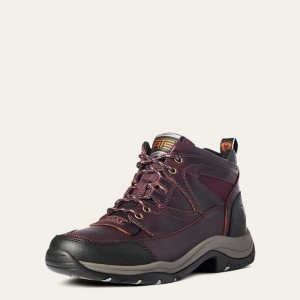 Ariat Terrain Dark Brown | 437CSNYPR