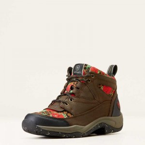 Ariat Terrain Eco Boot Java | 672ABGZKQ