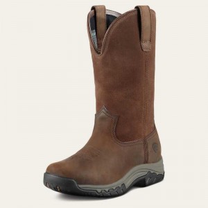 Ariat Terrain Pull On Waterproof Boot Brown | 250JUIAKG